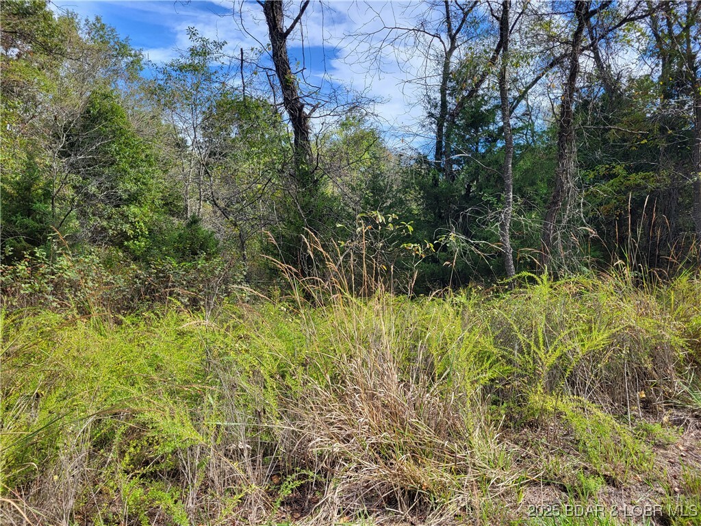 Property Photo: Bell Place 3525 &Amp 3526 MO 65326
