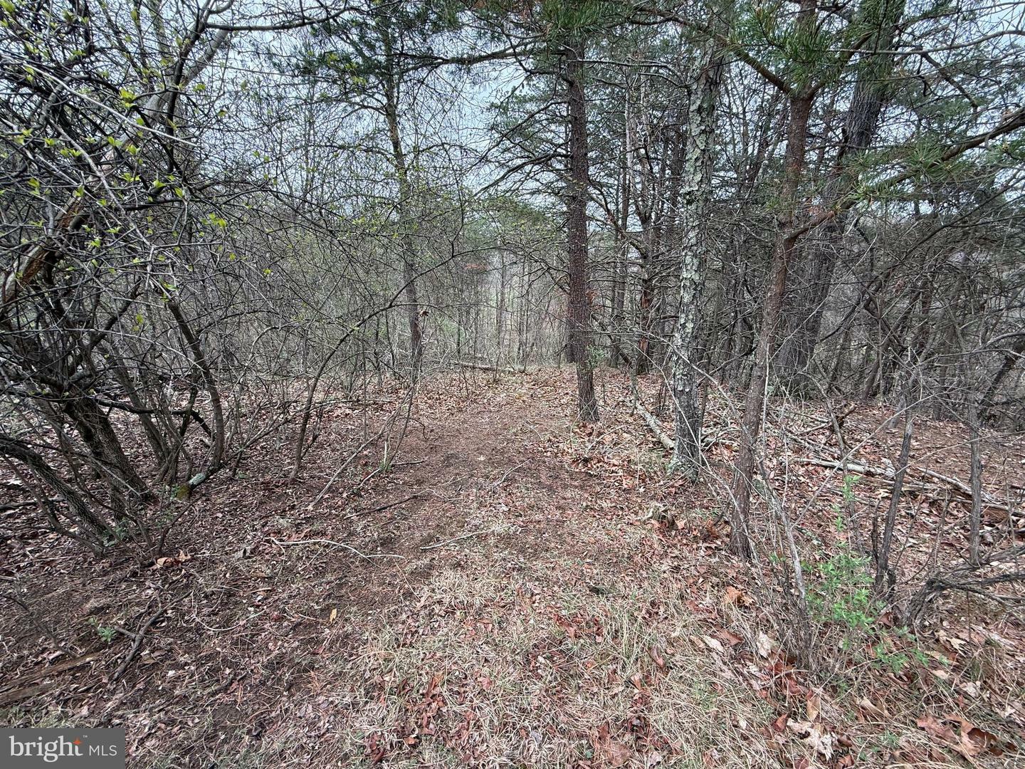 Property Photo: Lot A 3.09 Acres Serenity Ln WV 25427