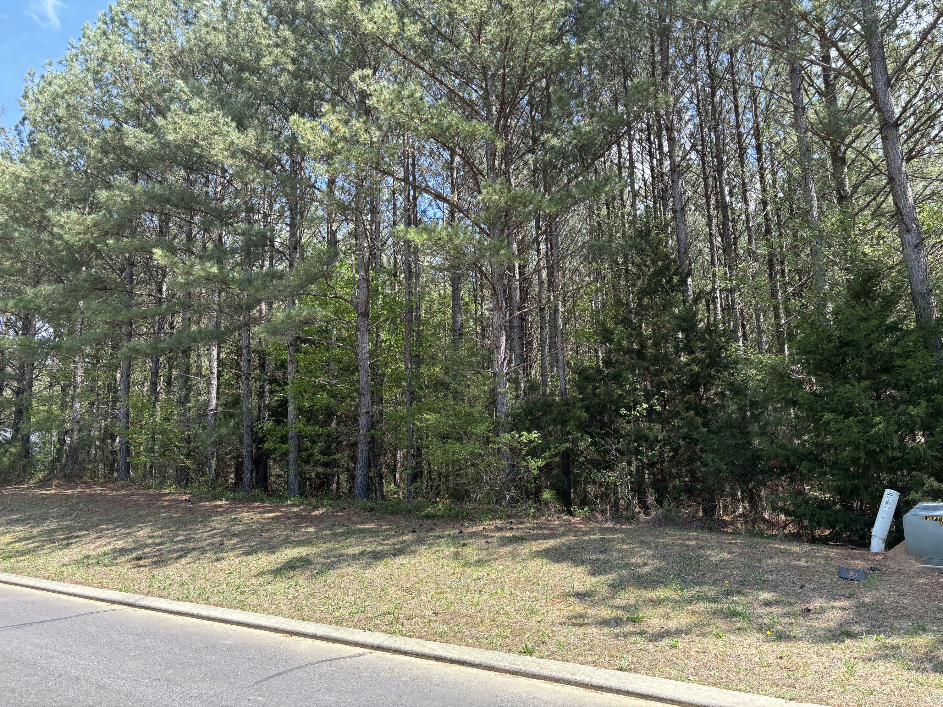 Property Photo: 333 Mountain View Circle TN 37361