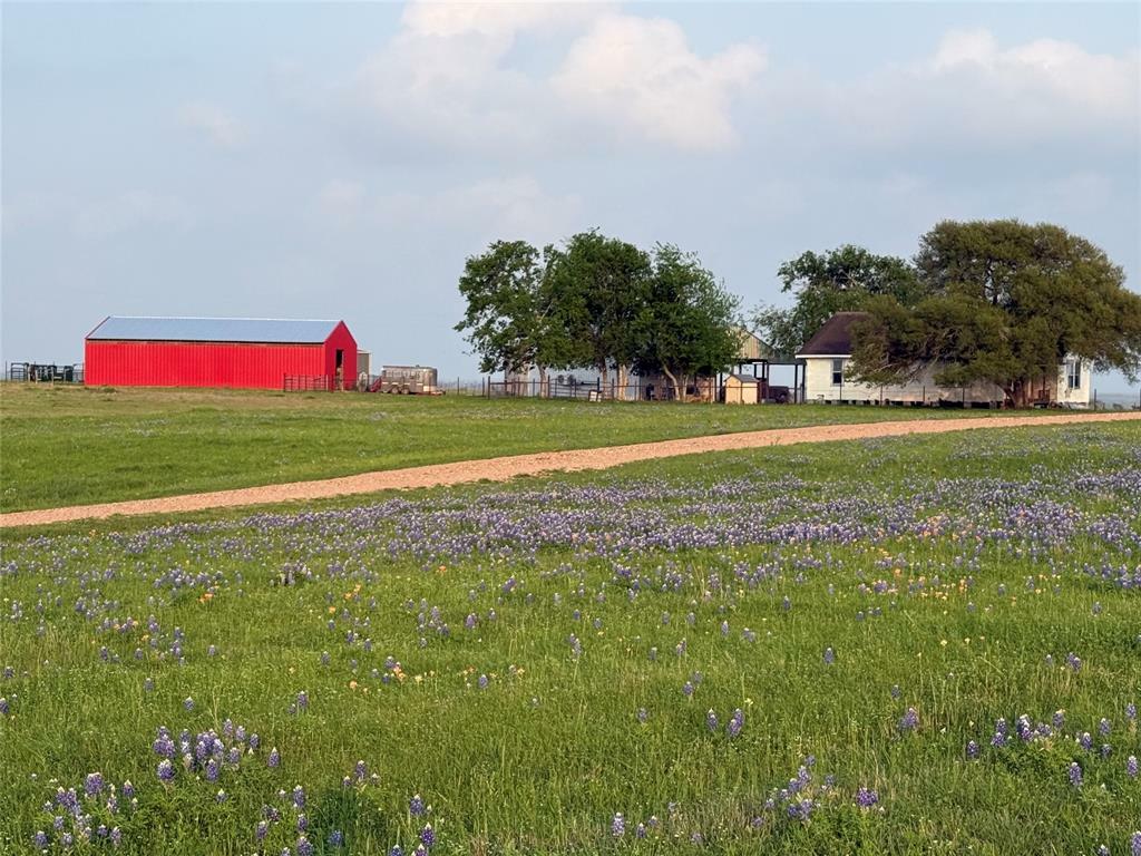 Property Photo: 7734 Krueger Road TX 78931