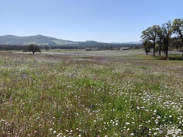 Property Photo:  2730 Smith Lane  CA 95422 