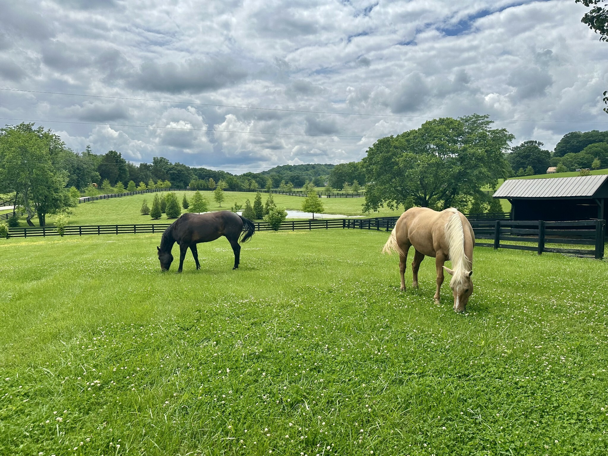Property Photo: 3636 Bear Creek Rd TN 37179