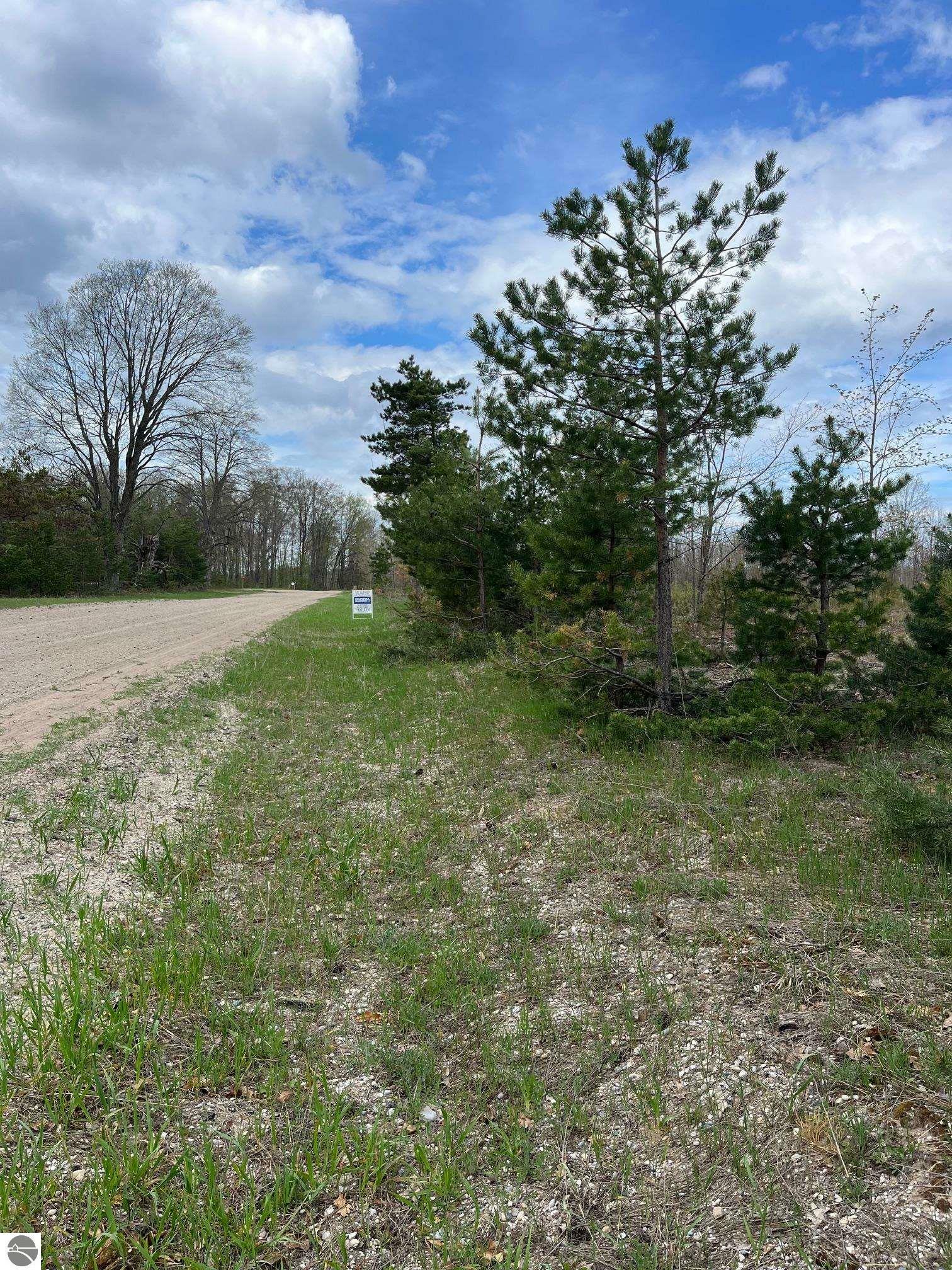 Property Photo:  Carmean Road  MI 49640 