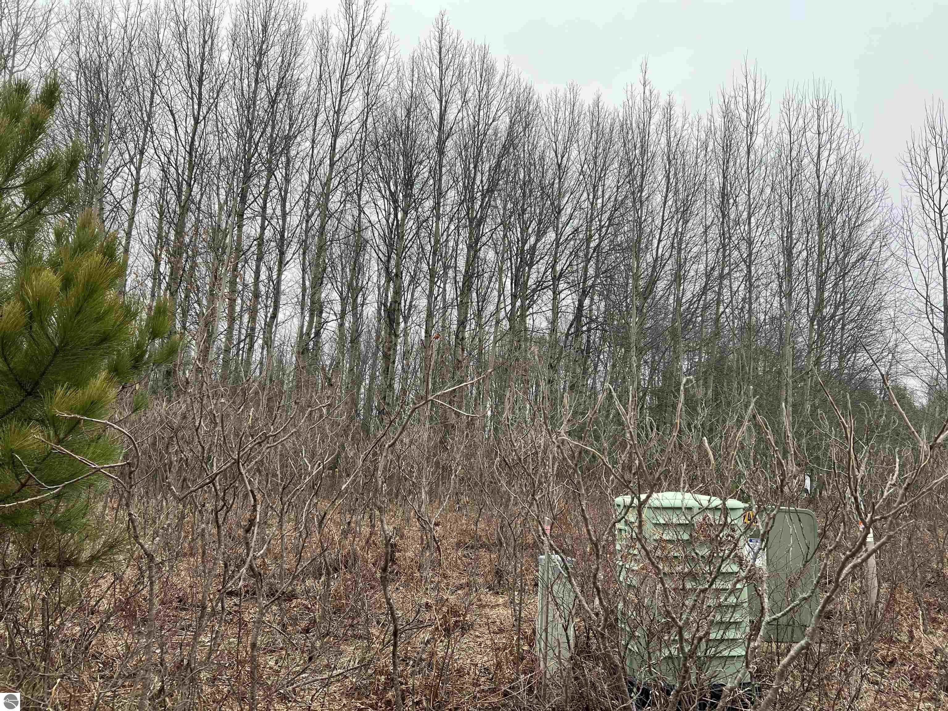 Property Photo:  Lot 19 Crestview Drive  MI 49601 