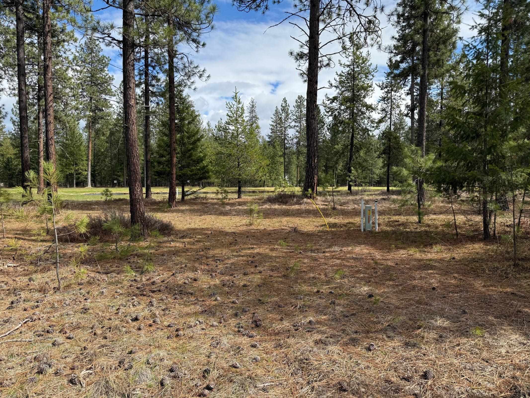 Property Photo: Xxx Couples Ct WA 99109