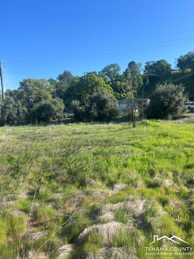 Property Photo:  17270 Rancho Tehama Rd.  CA 96021-000 