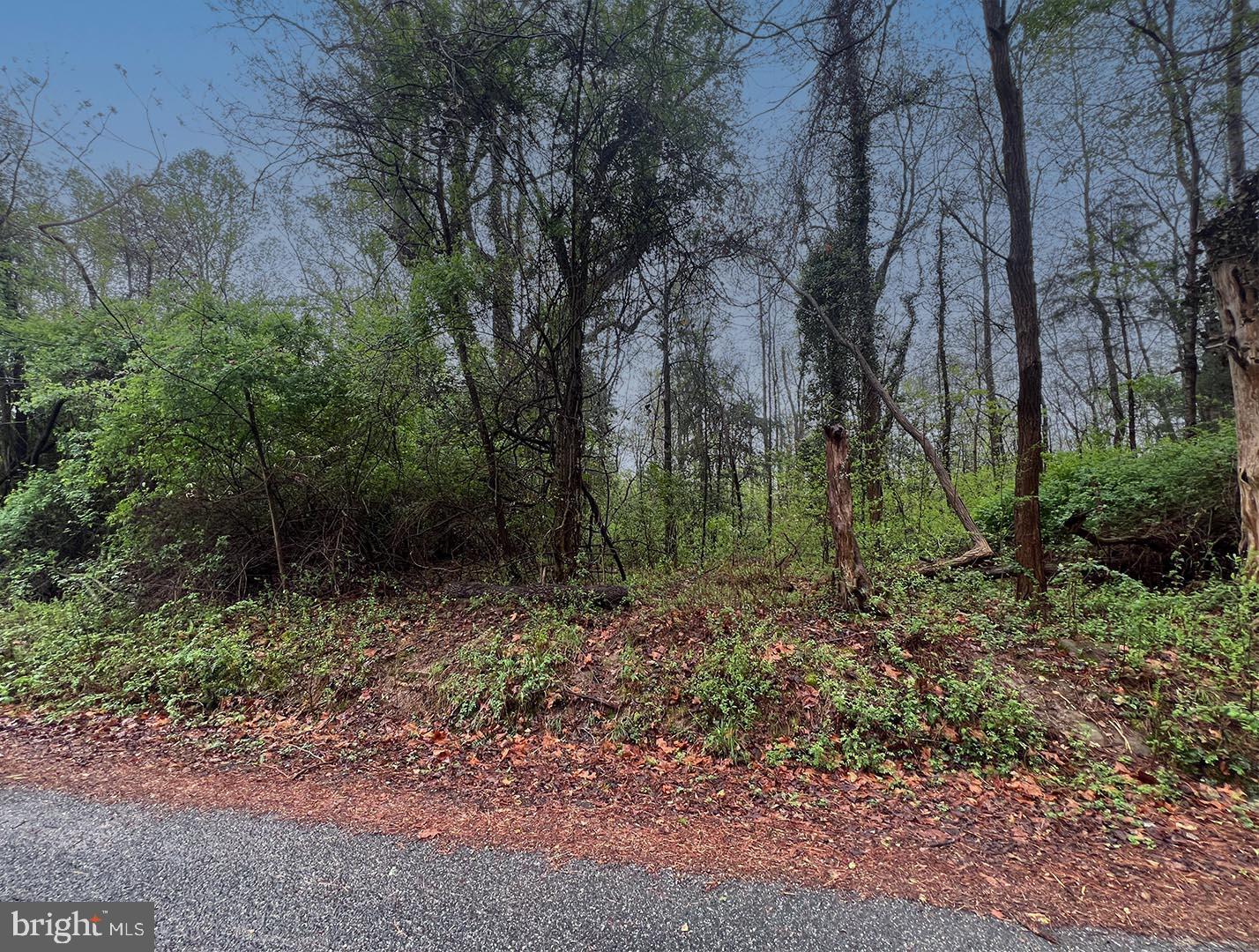 Dingley Road  Montross VA 22520 photo