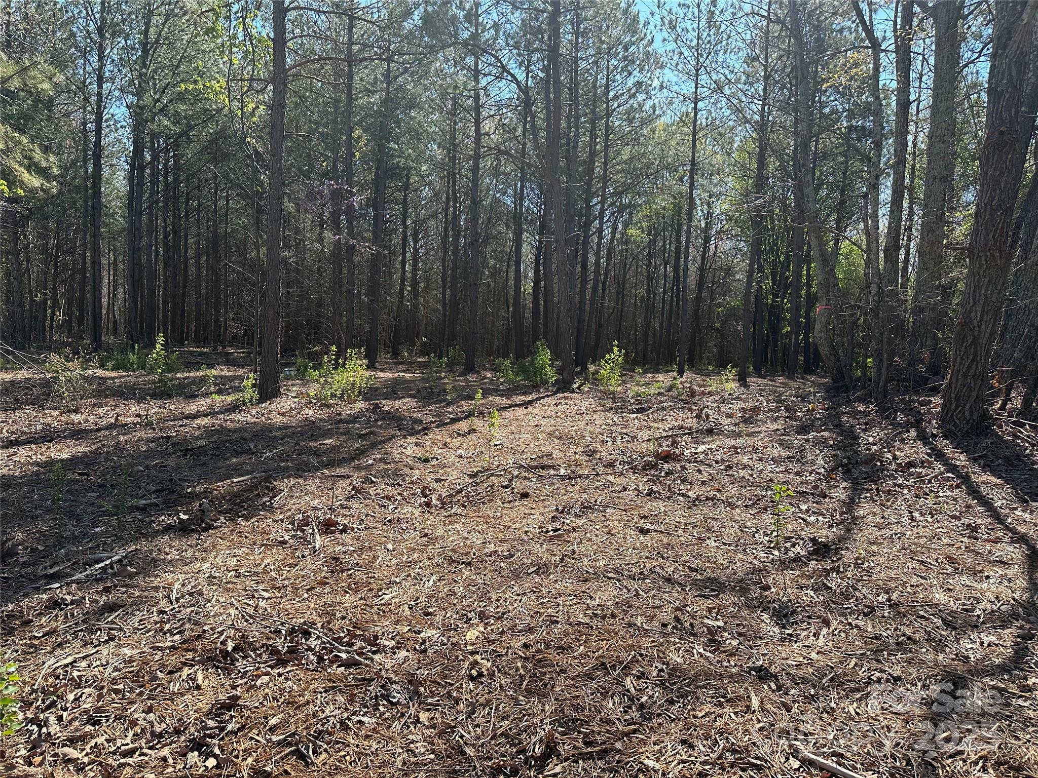 Property Photo: 4265 East Maiden Road NC 28650