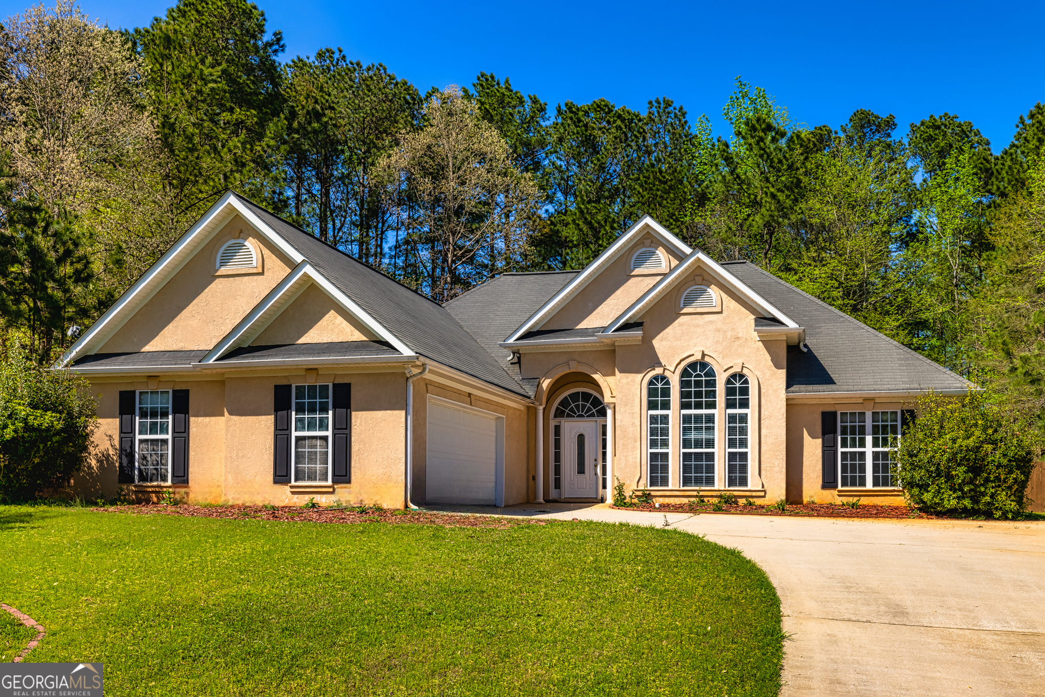 Property Photo:  230 Hidden Brook Trail  GA 30215 