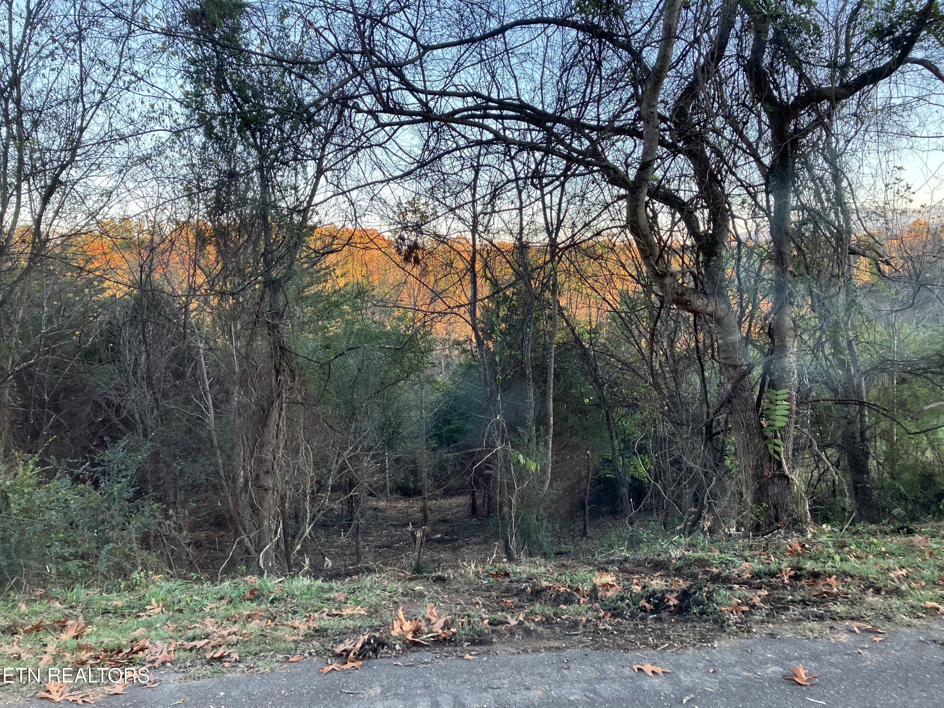 Property Photo:  Lot 19 English Fields Drive  TN 37722 