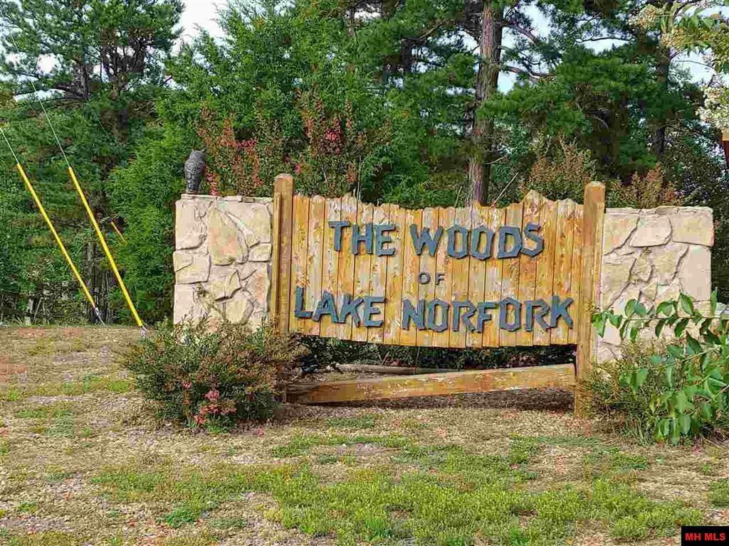Property Photo: Lot 13 Ozark View Court AR 72658