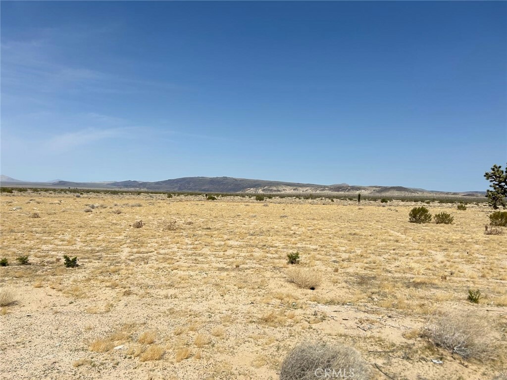 Property Photo:  0 County Rd  CA 92347 