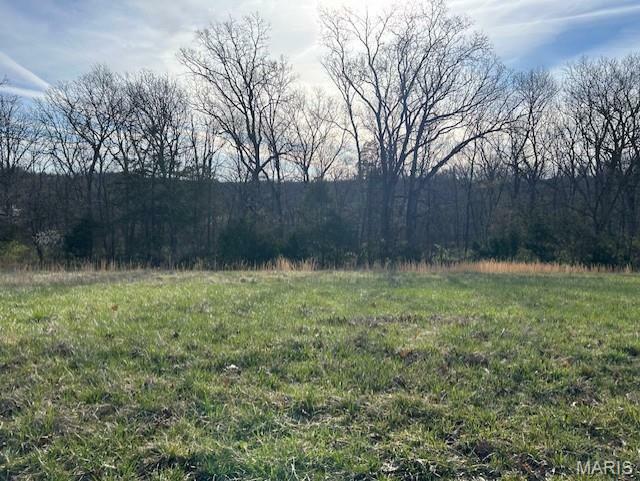 Property Photo: 20 Marshall Road MO 63090