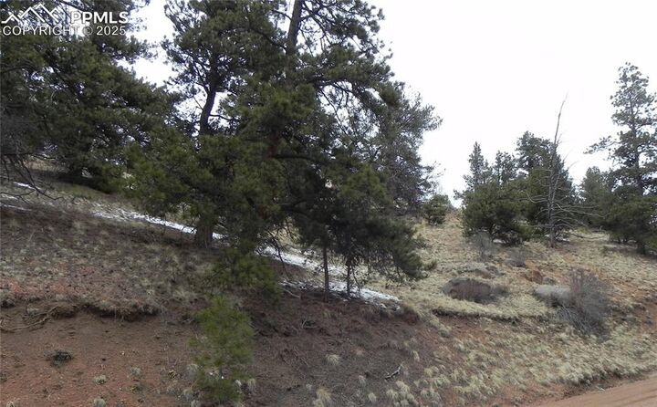 Property Photo:  153 Idlewild Drive  CO 80813 