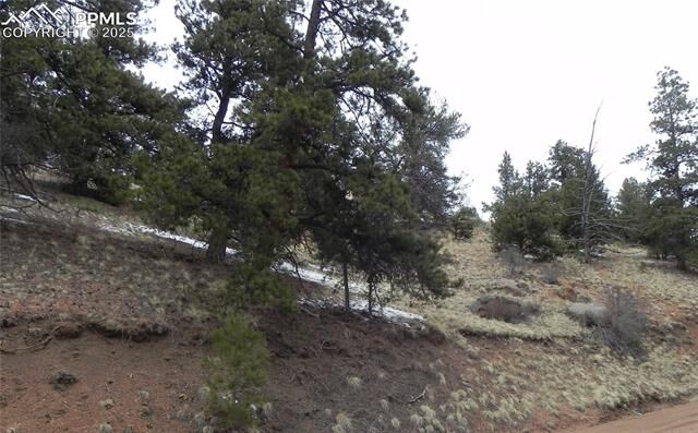Property Photo:  153 Idlewild Drive  CO 80813 