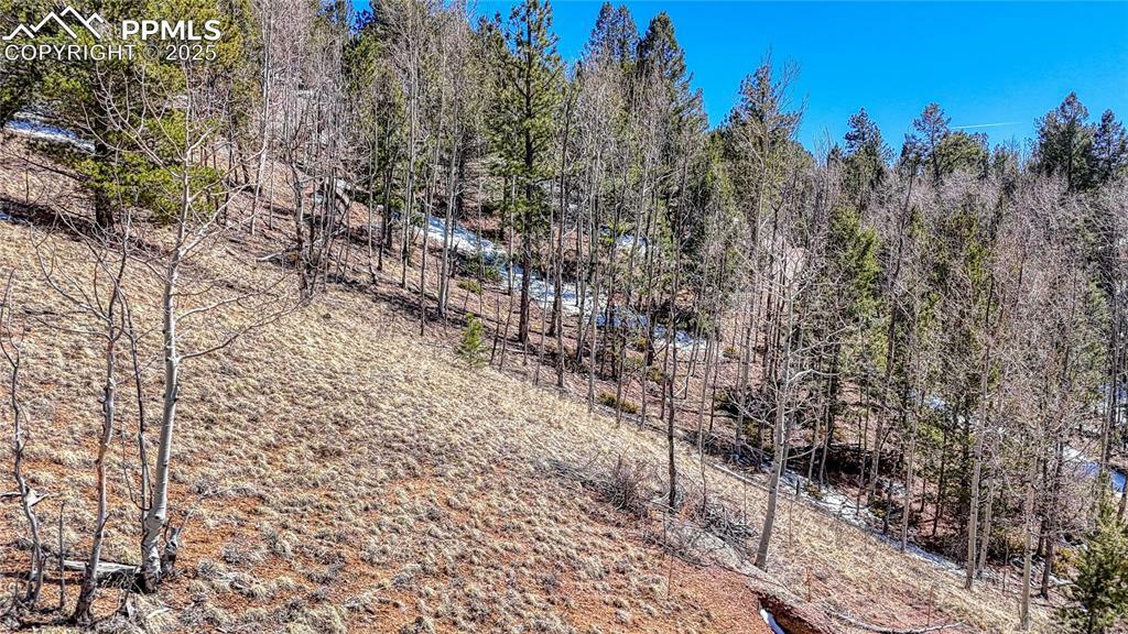 Property Photo: 513 Last Dollar Drive CO 80813