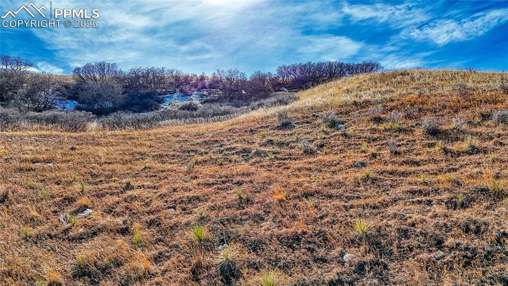 Property Photo: Michener Drive CO 80907