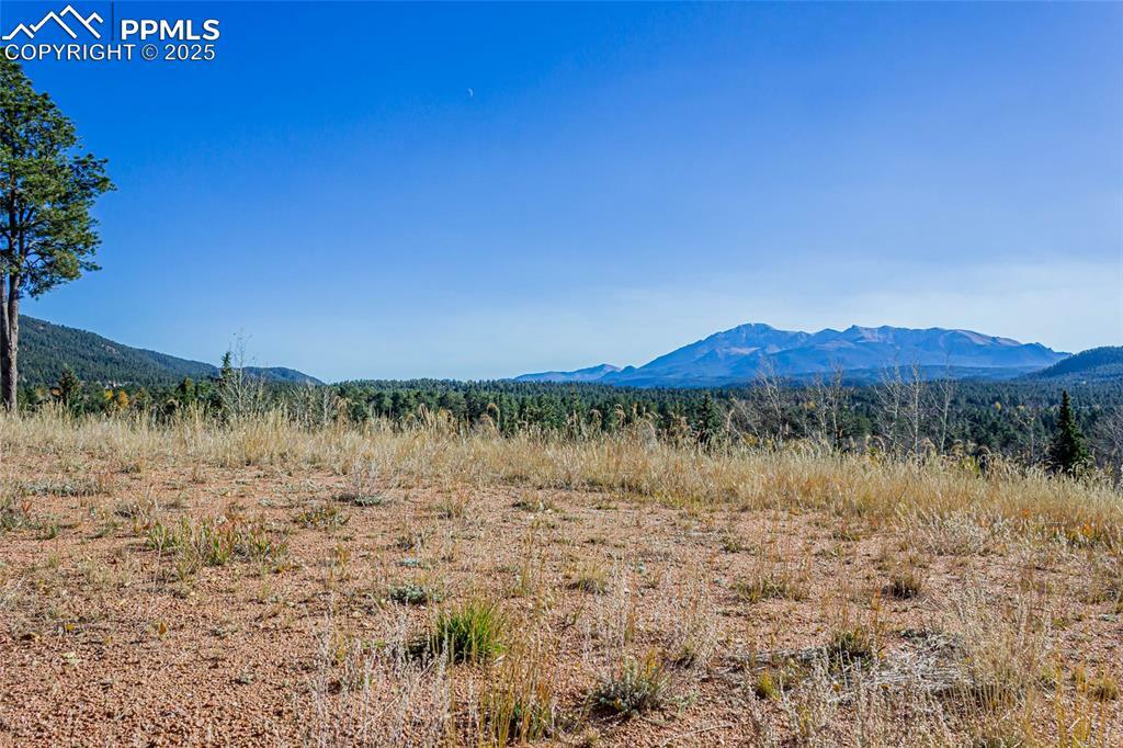 Property Photo: 300 Apache Trail CO 80863