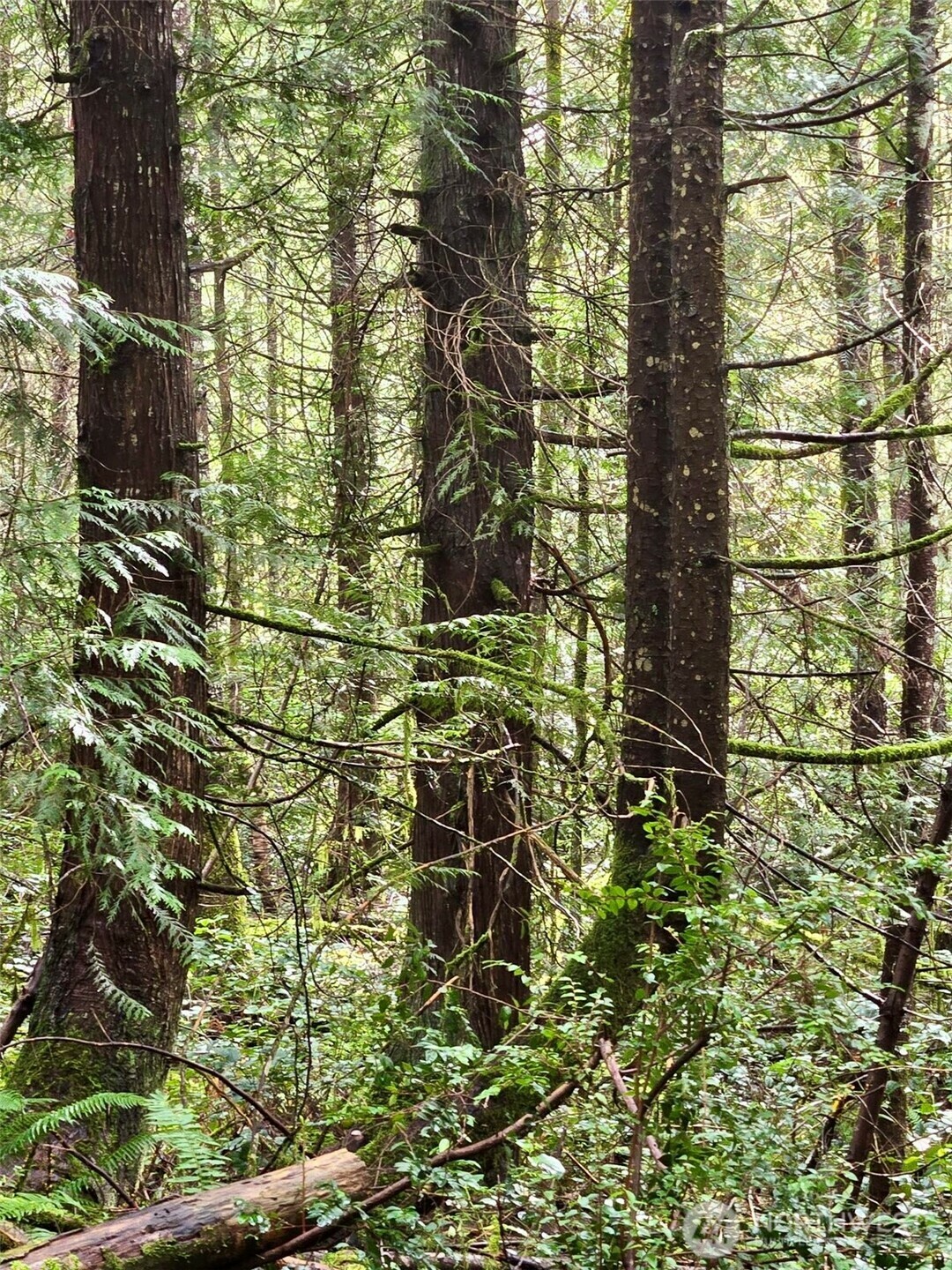 Property Photo: 480 E Hedlund Drive WA 98584