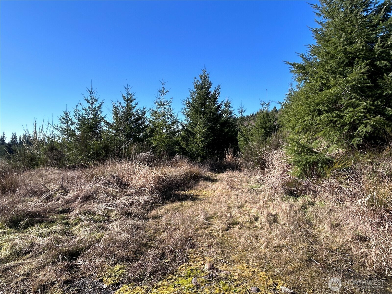 Property Photo: 0 Nka Salmon Creek Road WA 98591