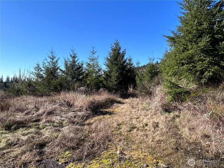 Property Photo:  0 Nka  Salmon Creek Road  WA 98591 