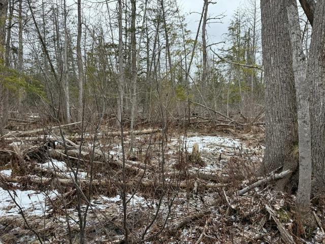 Property Photo: 000 Pioneer Road MI 49640