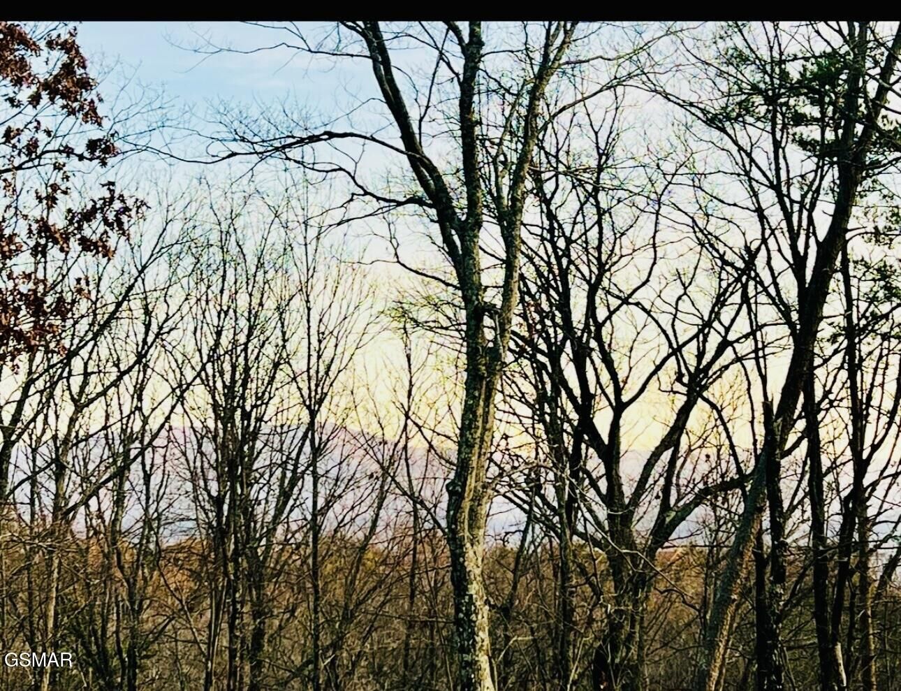 Property Photo: 159 Summit Trails Drive TN 37862