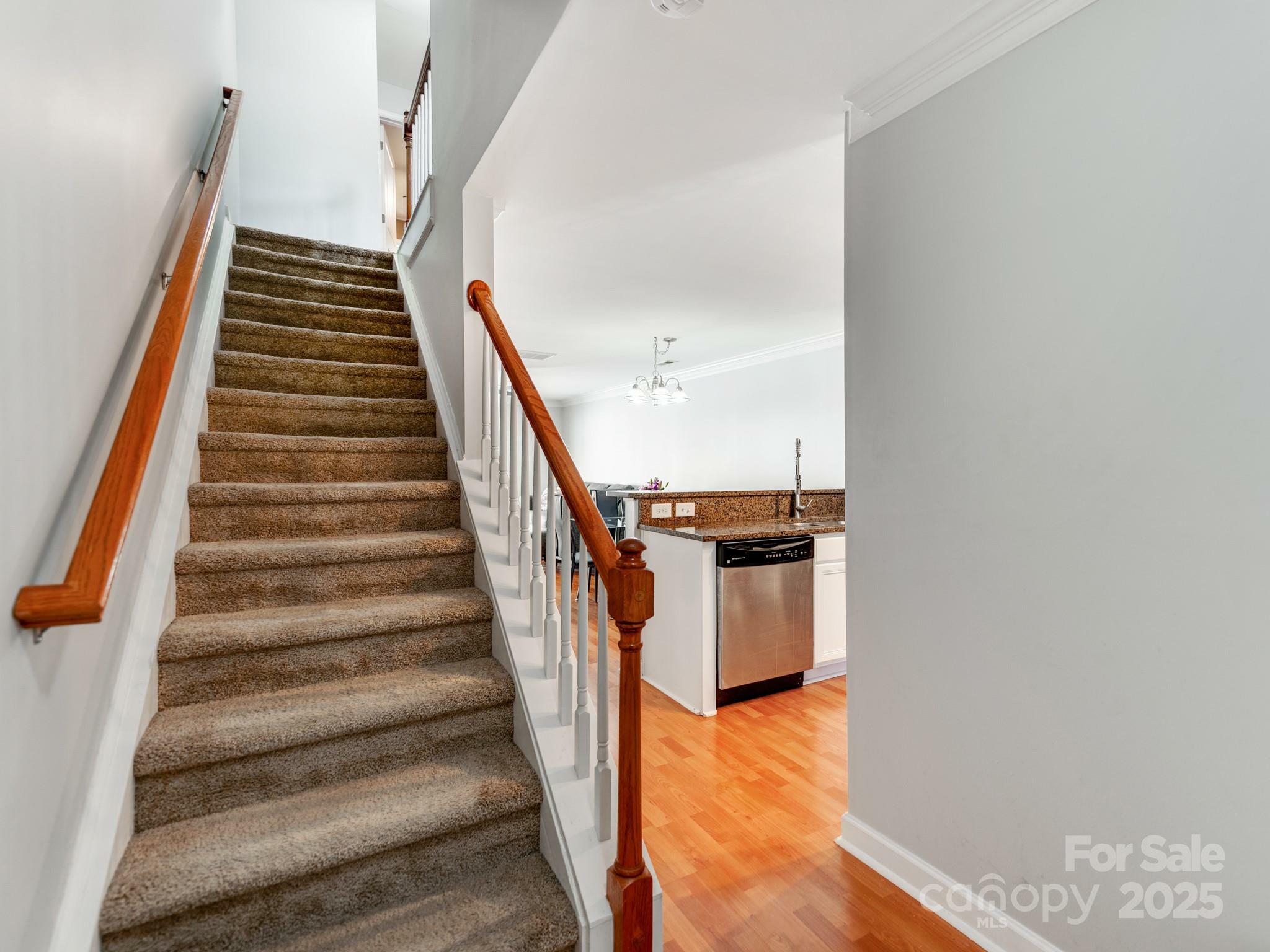 Property Photo: 1217 Green Oaks Lane NC 28205