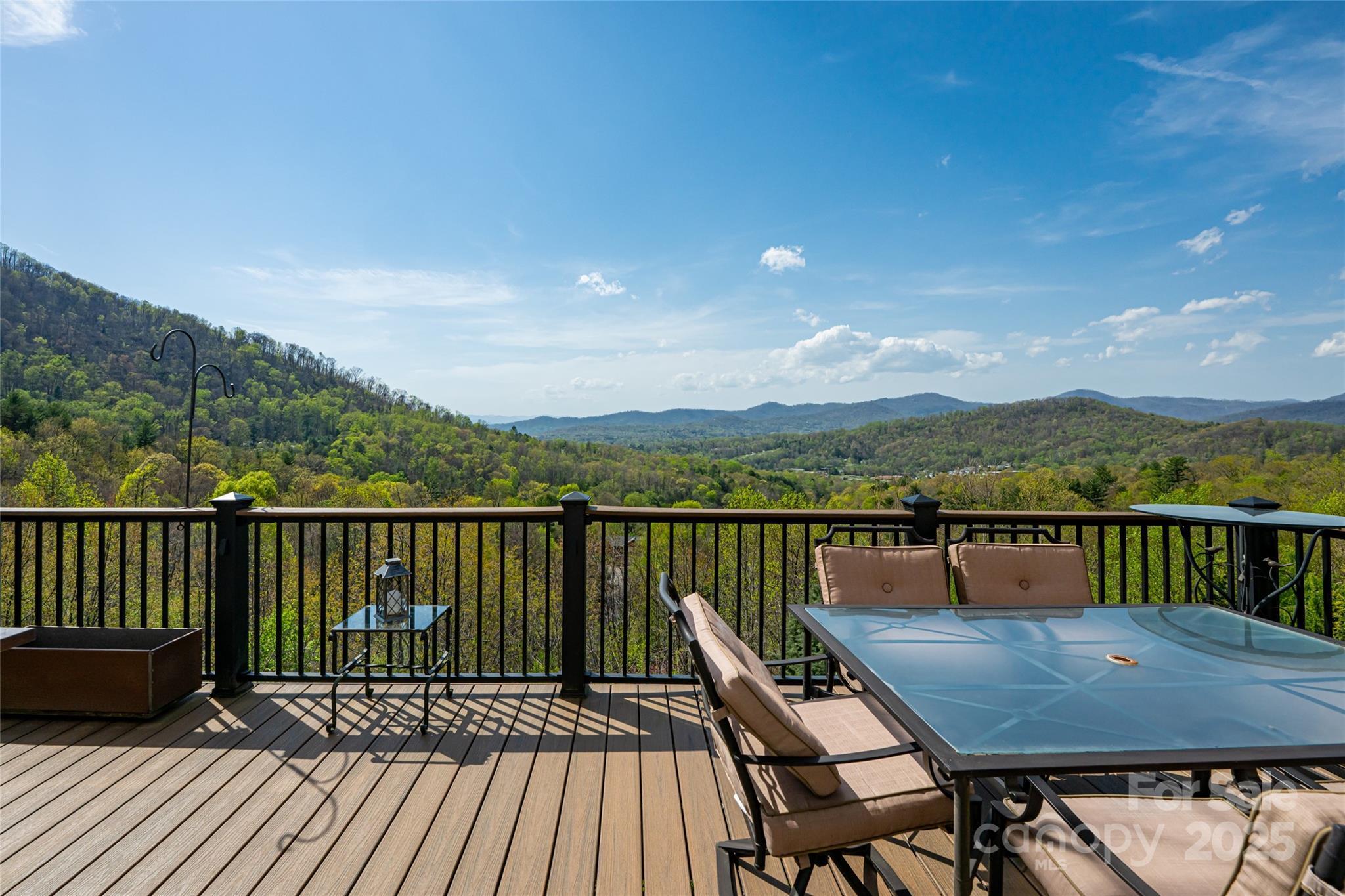 Property Photo:  116 Dalya Road  NC 28778 