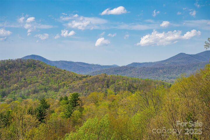 Property Photo: 116 Dalya Road NC 28778