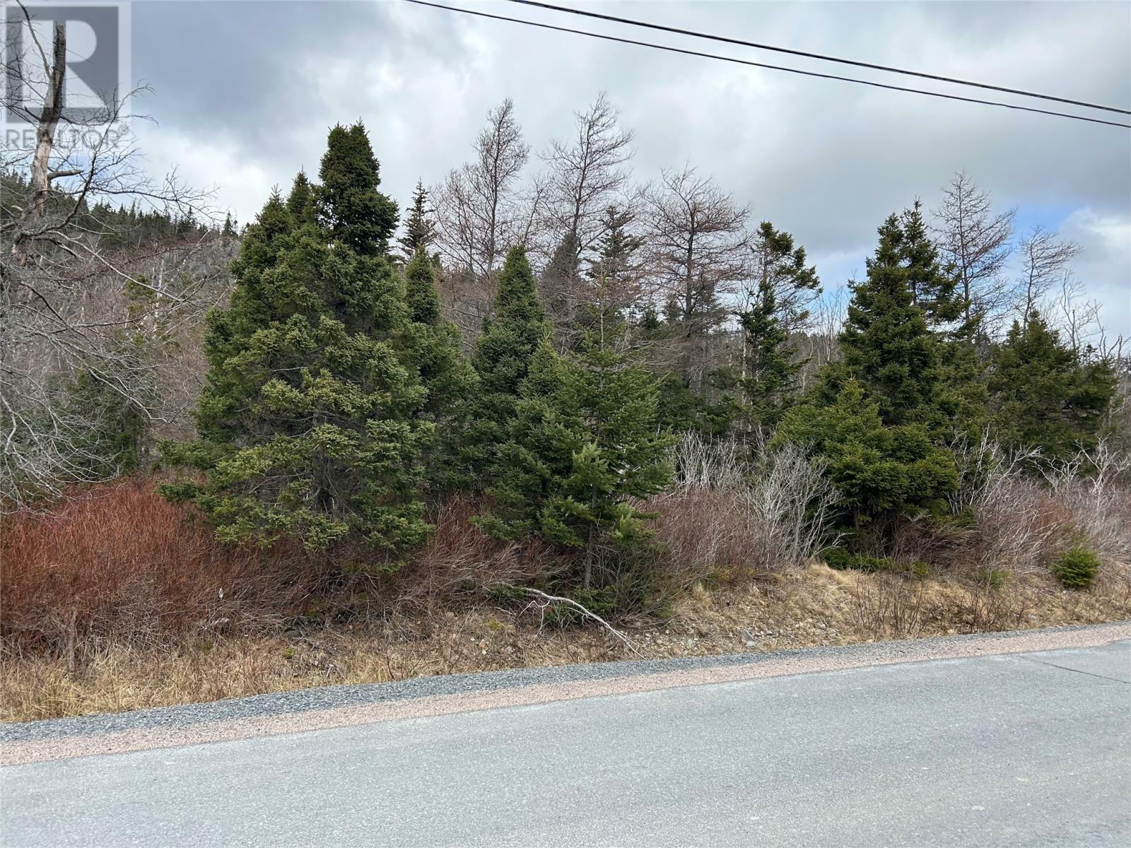 Property Photo:  Lot #1 Main Road  NL A0A 3C0 