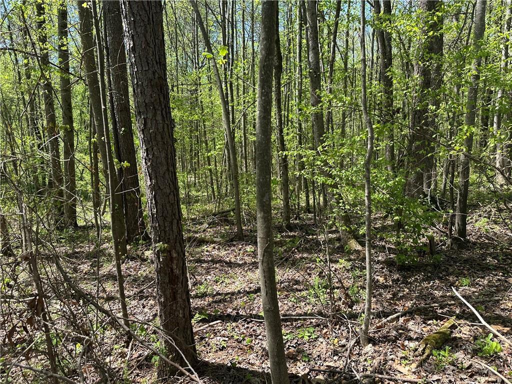 Property Photo: 0 North 411 Highway GA 30705