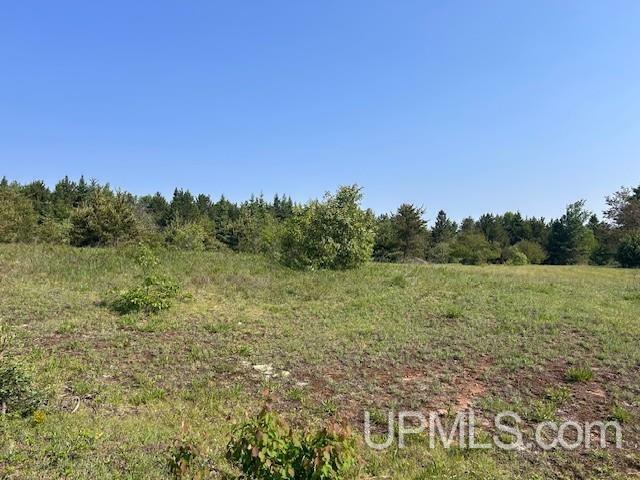 Property Photo:  13408 W Jackola (#2) Road  MI 49905 