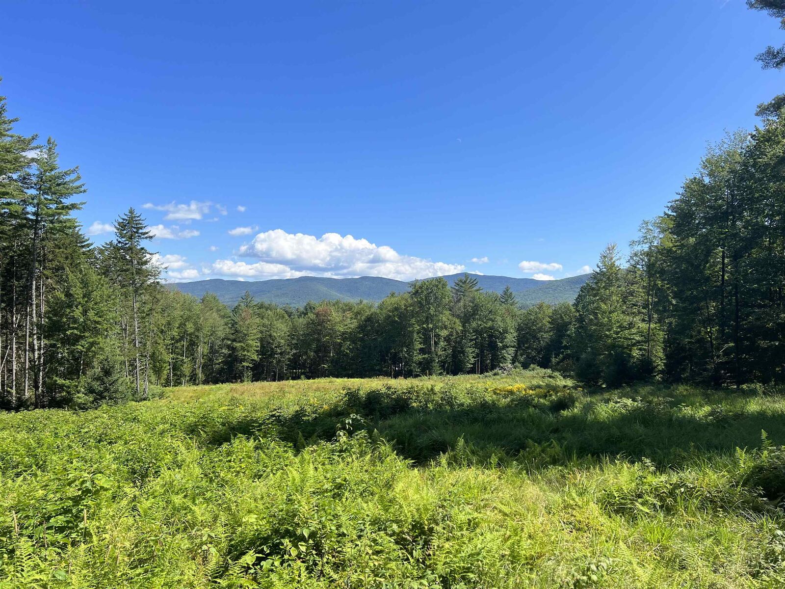 Property Photo: 00 Needle Leaf Lane VT 05672
