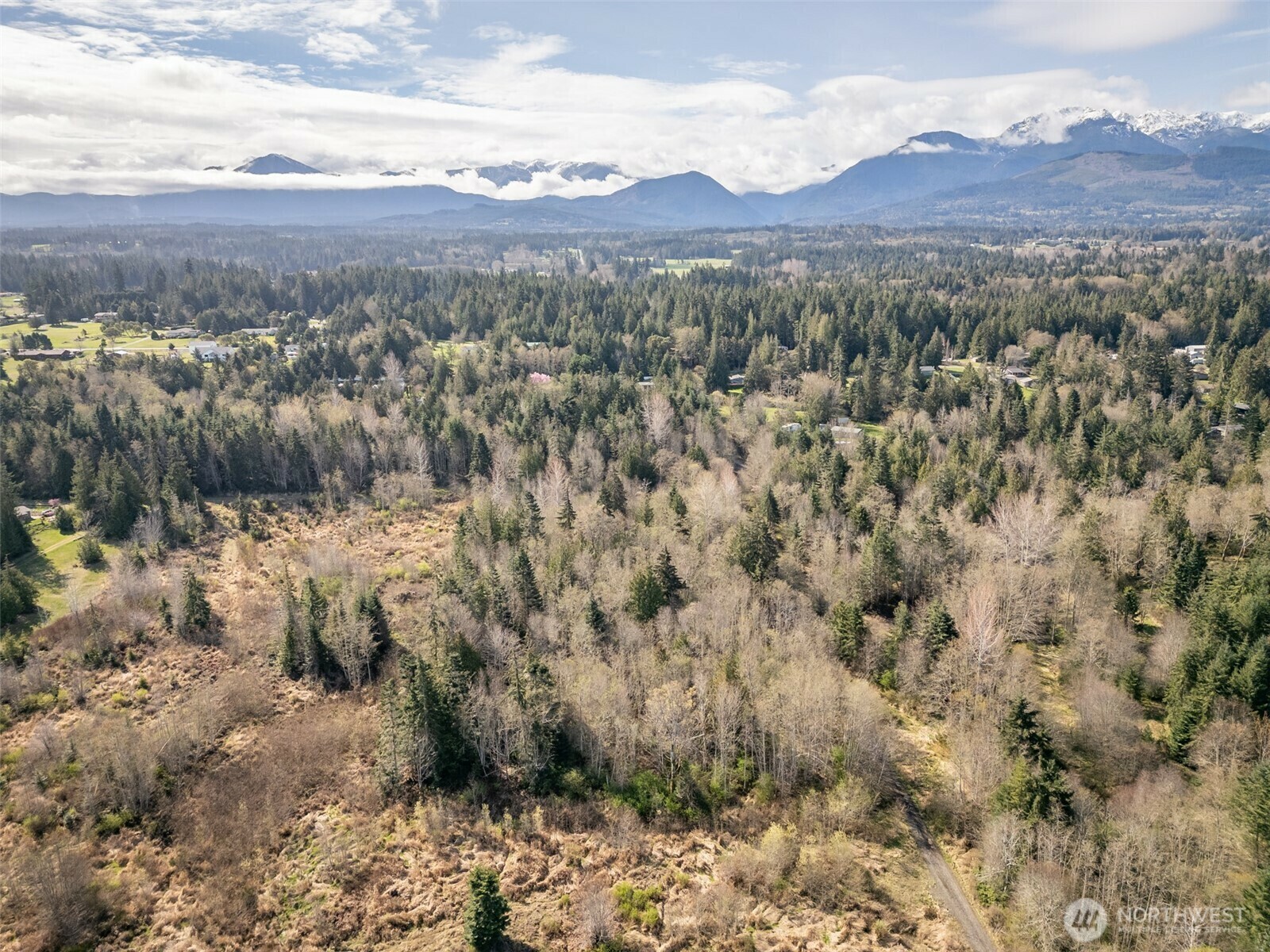 9999 N Bagley Creek Road  Port Angeles WA 98362 photo