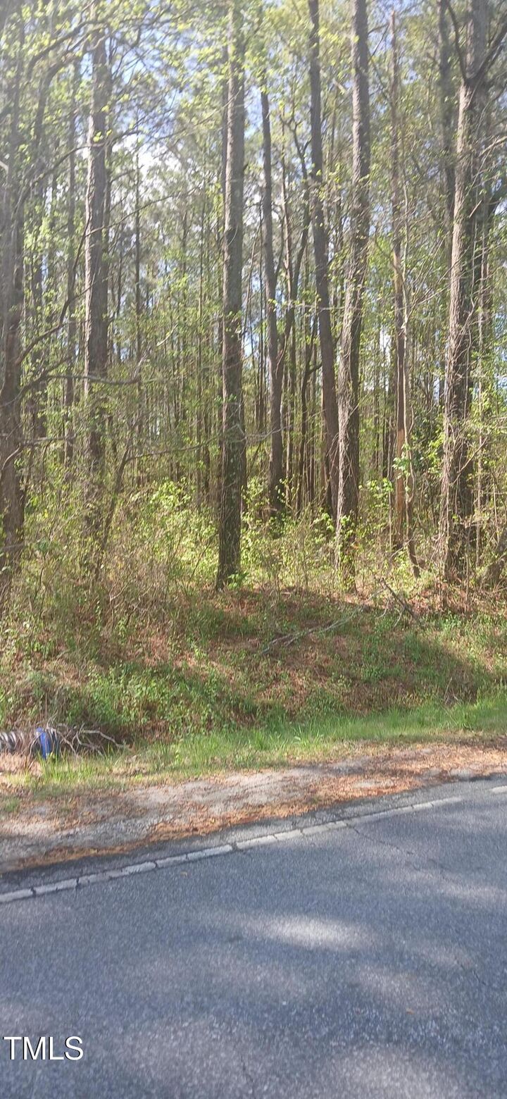 Property Photo: 0 Bailey Road NC 27892