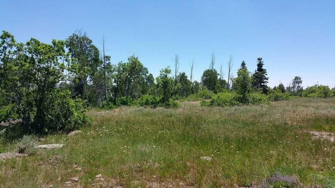Property Photo:  Lot 8 Spring Drive 8  UT 84779 