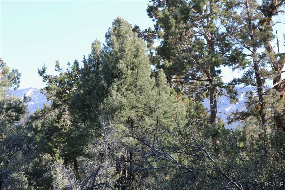 Property Photo: 44 Lakeview Tract CA 92333