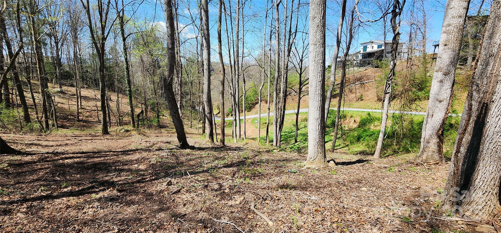 Property Photo: 31 Sweet Fern Parkway 42 NC 28804