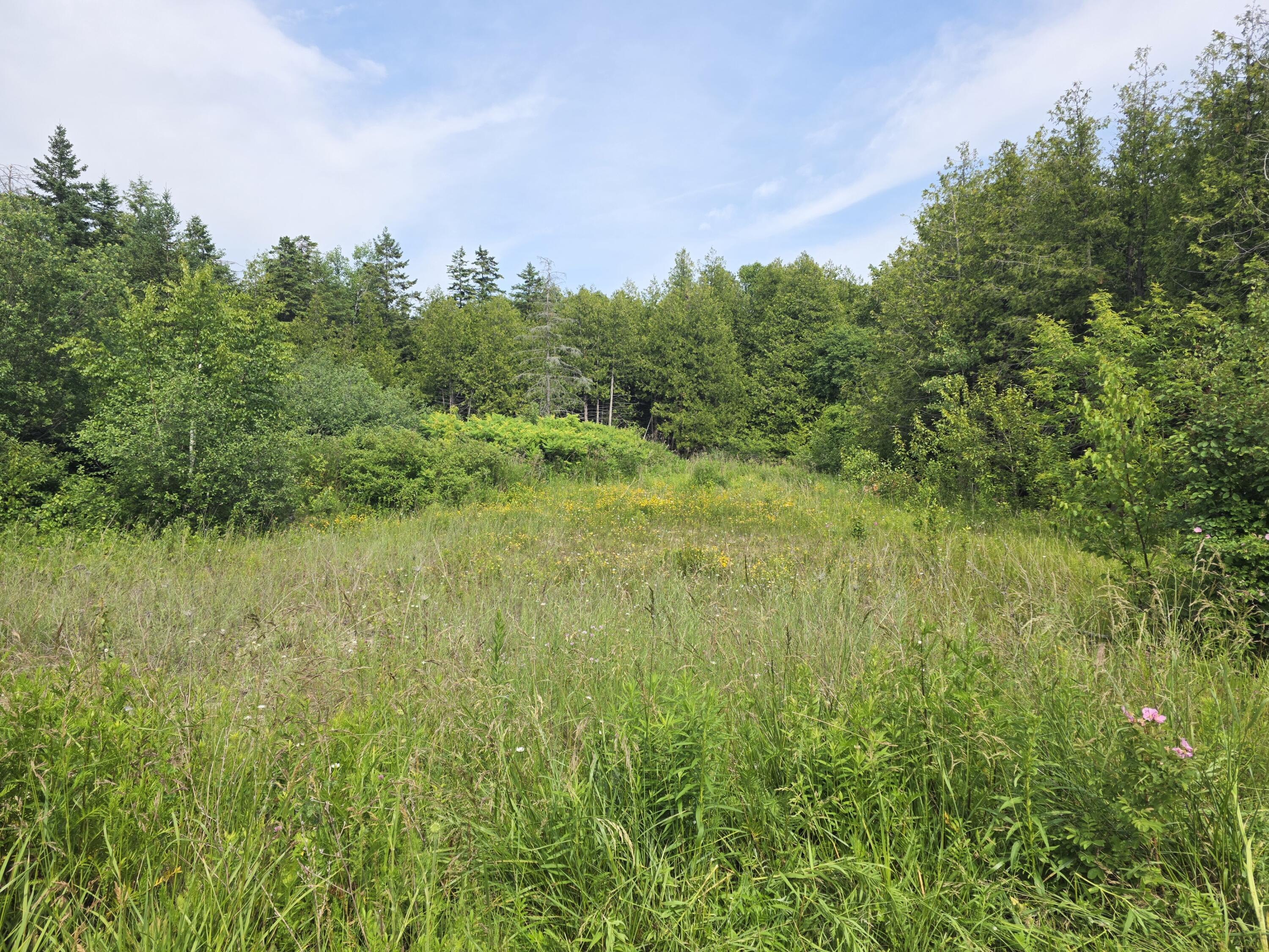 Property Photo: 00 Chambers St MI 49781