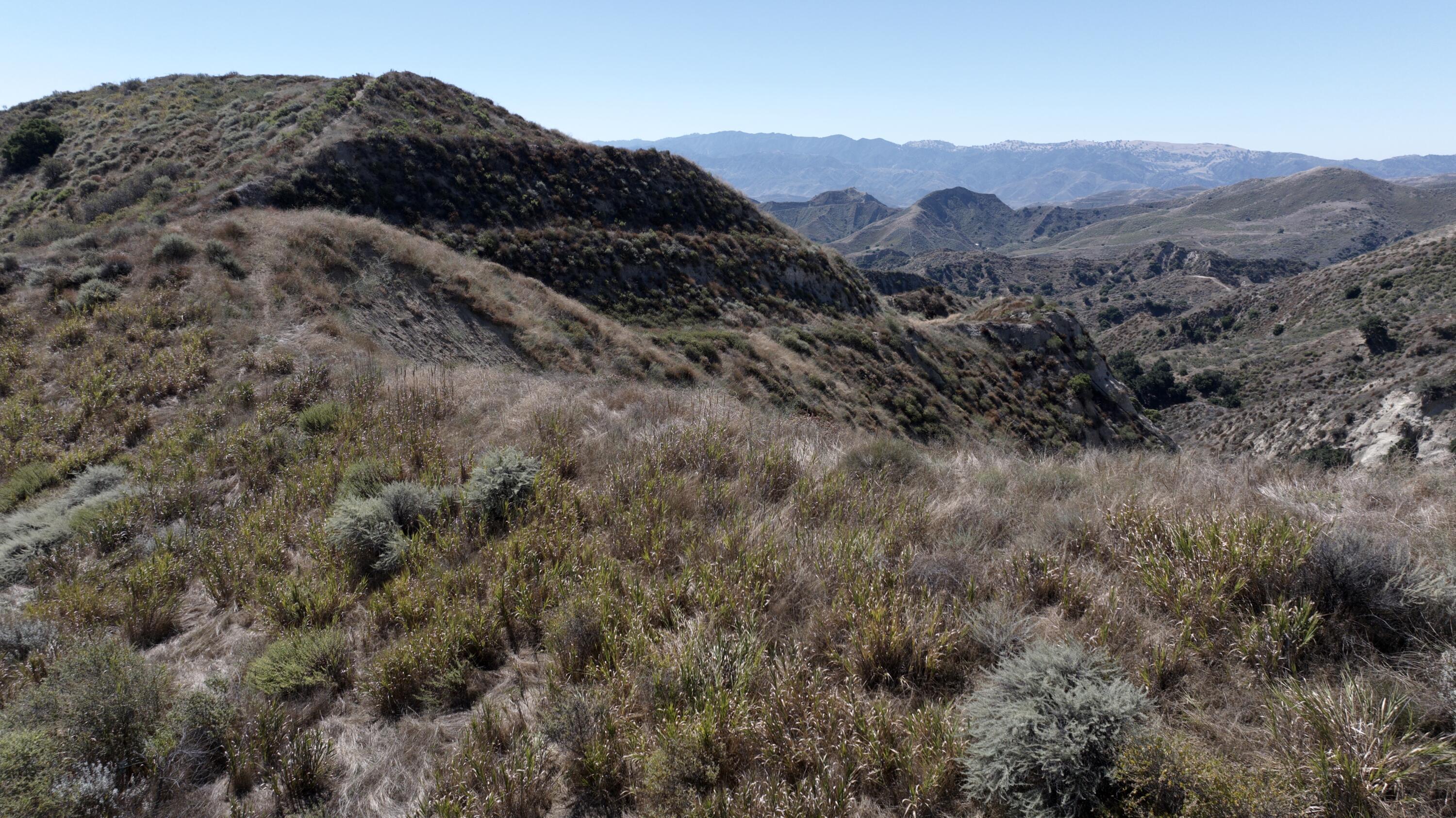 Property Photo:  0 Burlwood Drive  CA 91384 