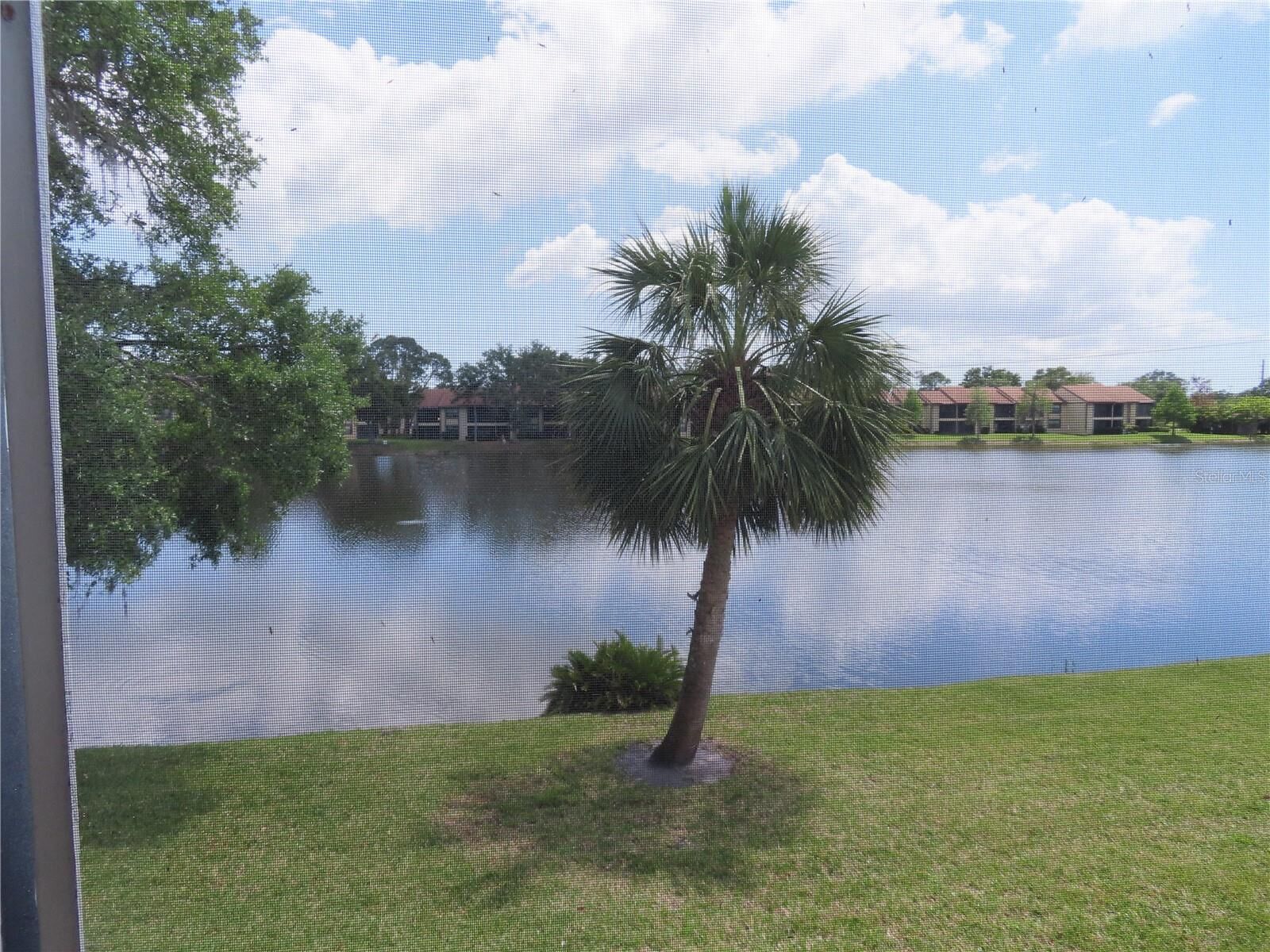 Property Photo:  224 Cypress Lane 224  FL 34677 