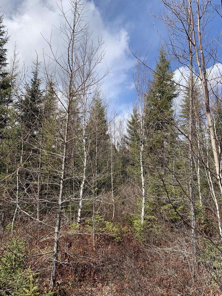 Lot Hunter West Road Wentworth Valley Preserve — photo 1