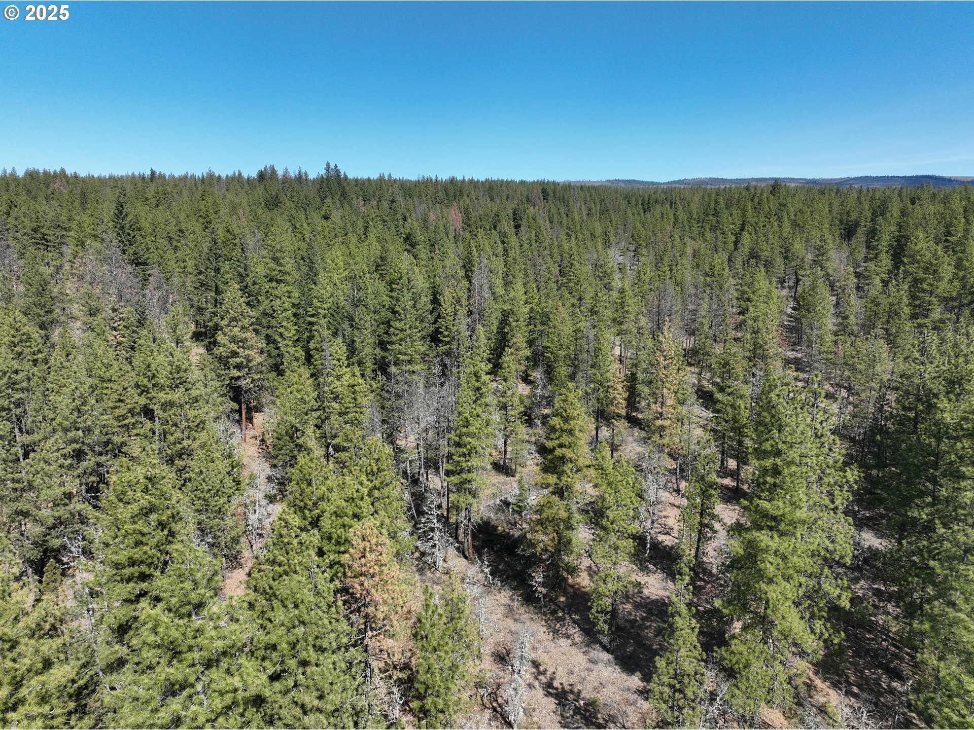 Property Photo: Brock Ranch Rd WA 98620