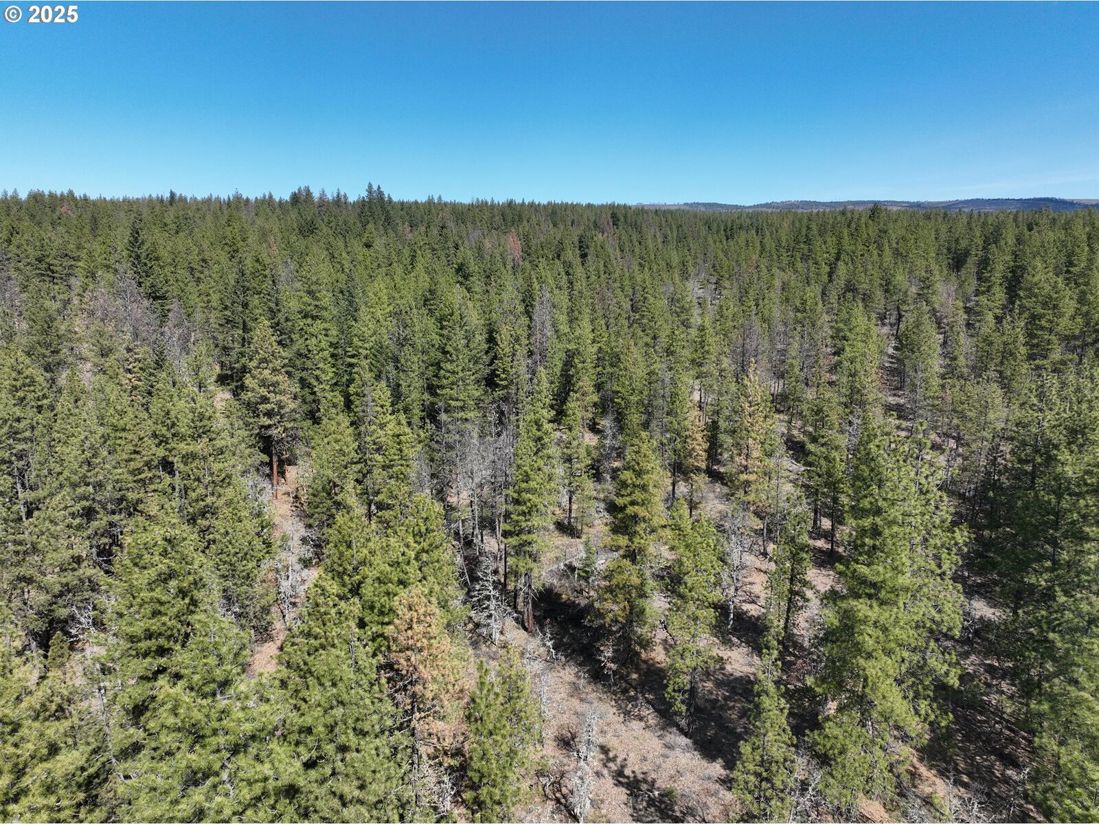 Property Photo:  Brock Ranch Rd  WA 98620 