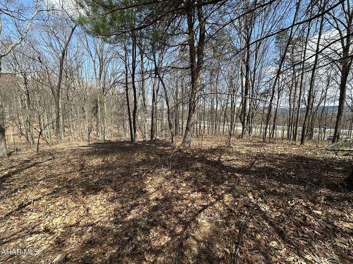 Off Rice Road  Warfordsburg PA 17267 photo