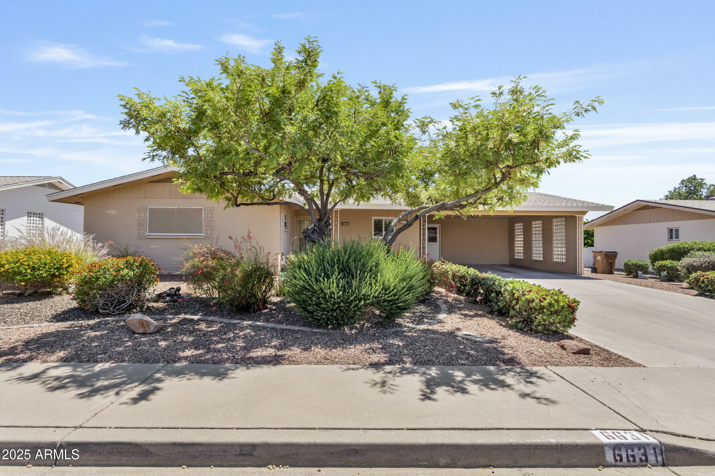 6631 E Dallas Street  Mesa AZ 85205 photo