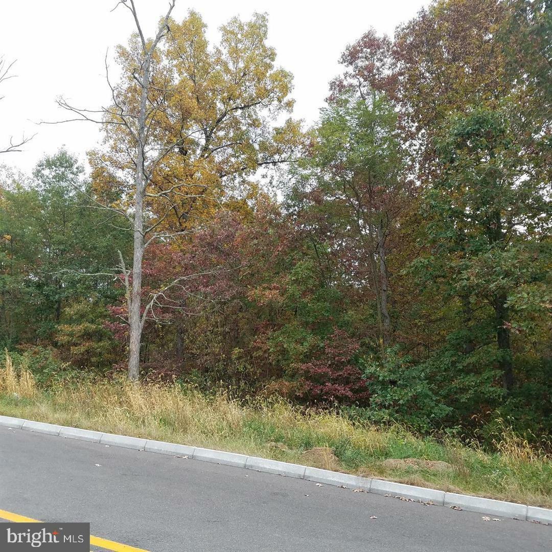 Property Photo:  13902 Rolling Oak Drive  MD 21529 