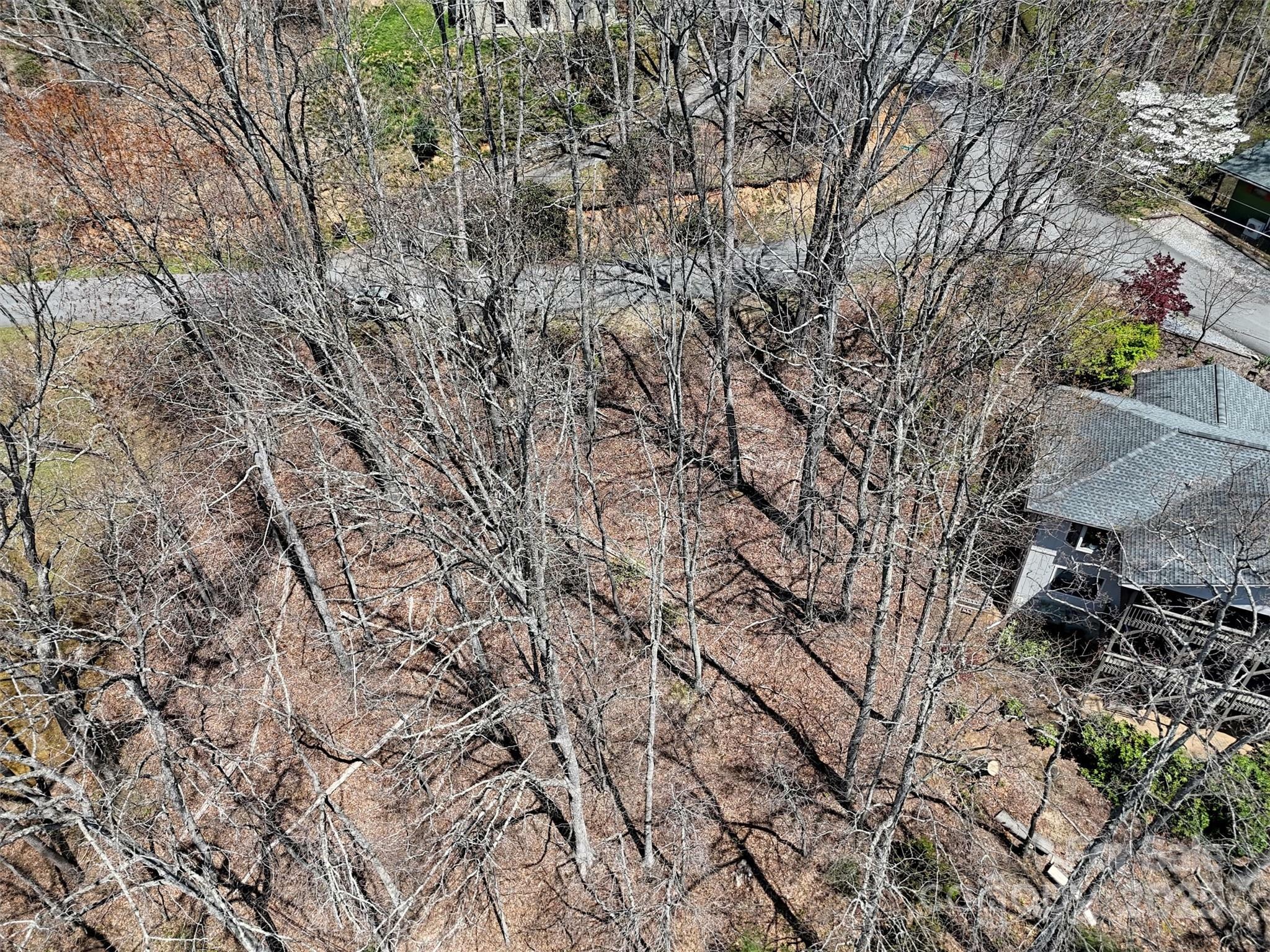 Property Photo: 847 Mouzon Road 84 NC 28785
