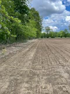 Property Photo:  9139 Woodhaven Road  OH 43031 